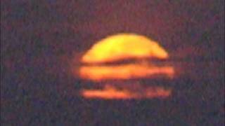 Alan Watts: A finger pointing at the moon