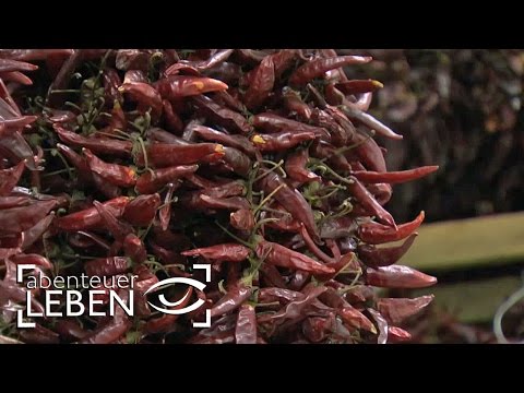 Der halbe Kochtopf: Ungarn (1/2) | Abenteuer Leben