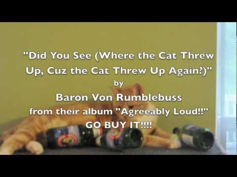 Did You See (That The Cat Threw Up, Cuz The Cat Threw Up Again)