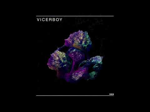 VICERBOY - Vicerboy (Full Album)