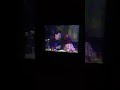 Sesame Street Episode 2638 Ending
