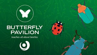 Varsity Tutors' StarCourse: Beetle Encounter with BUTTERFLY PAVILION