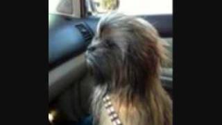 Miguel Migs Feat Evelyn Champange King-Everybody- Soul Clap Remix