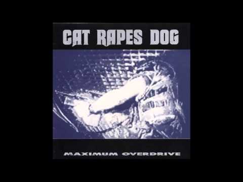 Cat Rapes Dog Water