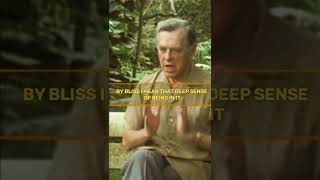Follow your Bliss | Joseph Campbell #awakening #enlightenment  #josephcampbell #shorts
