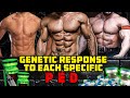 Genetic Response To EACH SPECIFIC PED - VERY OVERLOOKED