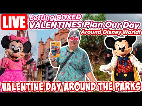 🔴Live: Letting Valentine’s Day Cards Plan Our Day at Disney World - Disney World Livestream