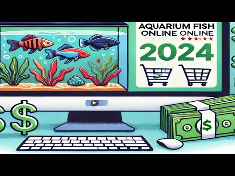 HOW TO SELL AQUARIUM FISH ONLINE THIS 2024