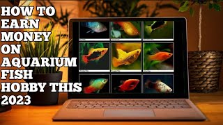 HOW TO SELL AQUARIUM FISH ONLINE THIS 2023