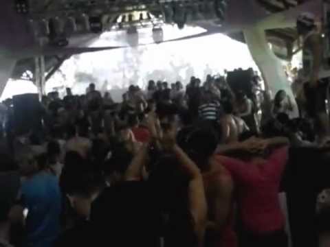 A  noite do cachorro doido 2012