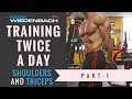 Training twice a day- part 1 Shoulders and Triceps!