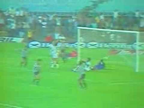 Botafogo 1 x 0 Operário/MS - 1981