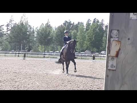 hagelstam pr foxfire blitz 20170610ticklen 170041