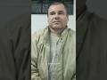 El Chapo Vs Pablo Escobar Compared Elchapo Pabloescobar Shorts Viral Vs