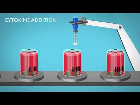 Future of T Cell Manufacturing using G-Rex Closed-system Bioreactors