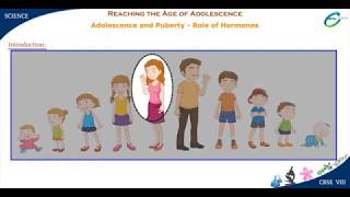 Reaching The Age of Adolescence- Role of Hormones