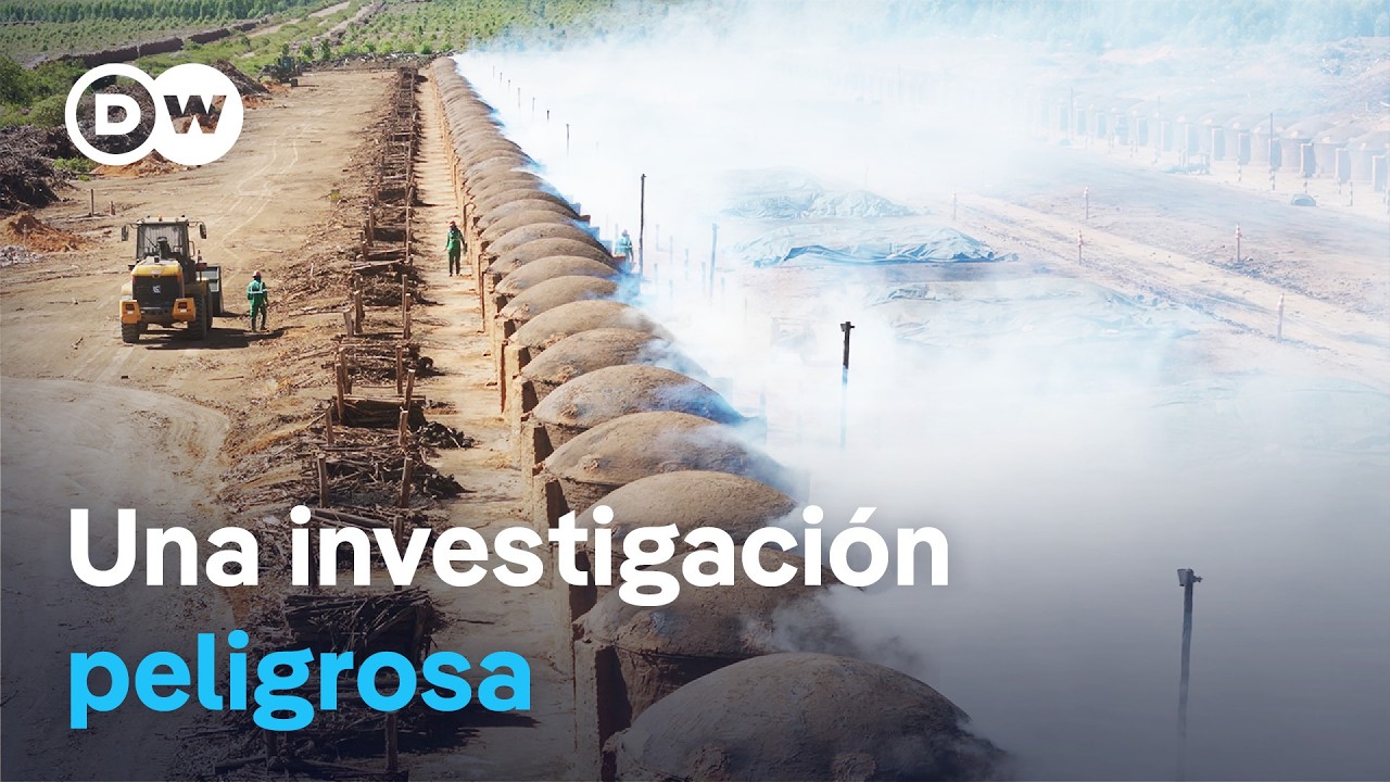 Negocios sucios con la protección del clima | DW Documental