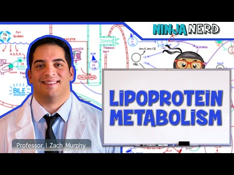Metabolism Glycolysis