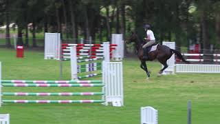 Lauren & Zippy - 1m showjumping at SSJC Lauren & Zippy - 1m showjumping at SSJC