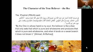 If You Are Insect and Tree, Which Ones Would You Be