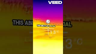 How AI Powers Robot Sensor Understanding