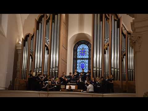 15. F. Schubert: Ko košuta