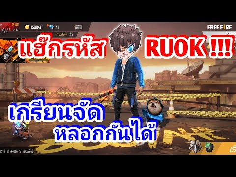ฟีฟาย ruok