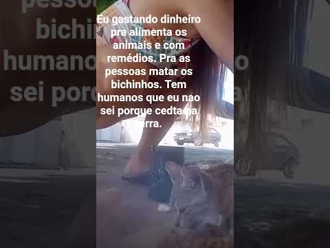 Até quando vão fazer maldade com os animais em Petrolina Pernambuco.