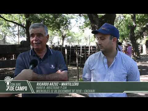 Resumen del remate de Hugo R. Aristegui - Miércoles 12 de diciembre de 2018 - Cacharí