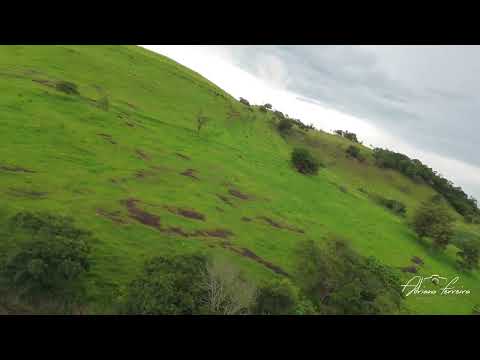 Voo sobre chácara em Jardim Alegre/ Pr