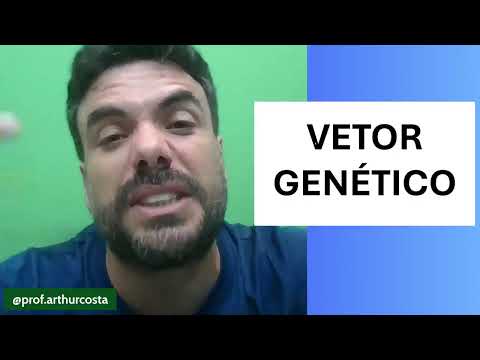 Revisão SSA3 25/11/2025