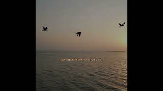 Download lagu creed - one Last Breath| Lirik Terjemahan mp3