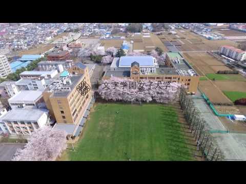 メディアコミュニケーション学科CM Many Colors  -桜・入学編-