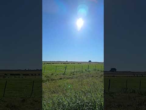 Paso de La Arena. Departamento Parana. Entre Rios. Parte 05