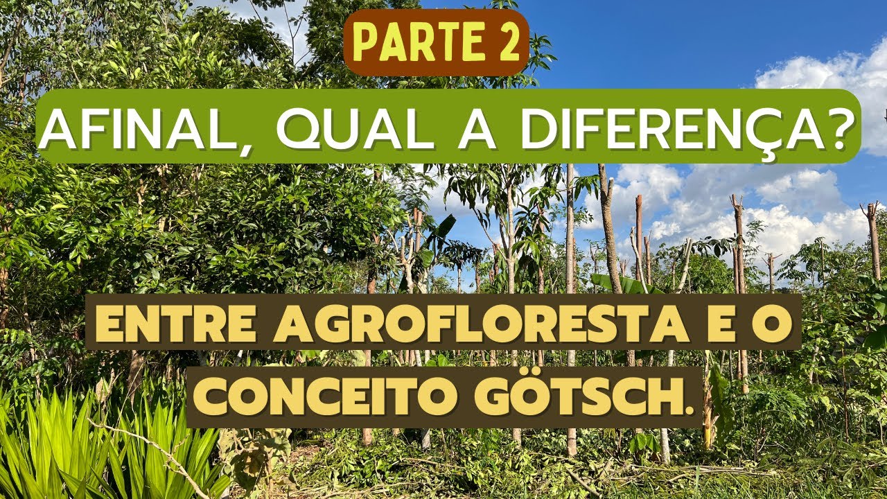 Afinal, qual a diferença entre agrofloresta e o conceito Götsch ? PARTE 2.