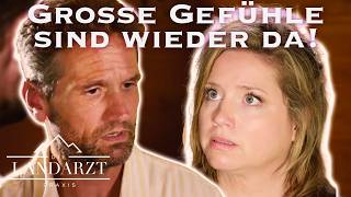 Gemeinsamer Einsatz: Sarah und Fabian kommen sich wieder näher.. | Die Landarztp