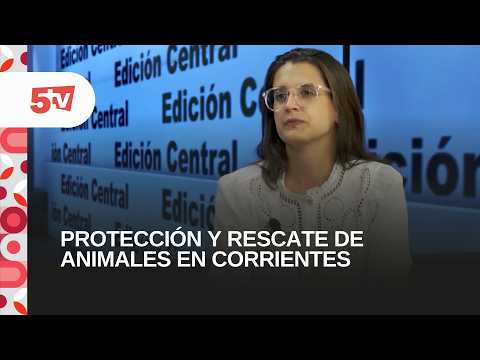 PROTECCIÓN Y RESCATE DE ANIMALES EN CORRIENTES-MERCEDES MESTRES, SUBSECRETARIA