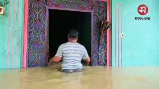 মাথাসমান পানিতে চকরিয়া-পেকুয়া, বাঁচার আকুতি আল্লাহর দরবারে | Daily Sakalbela