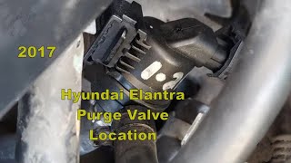hyundai elantra purge valve location & replacement