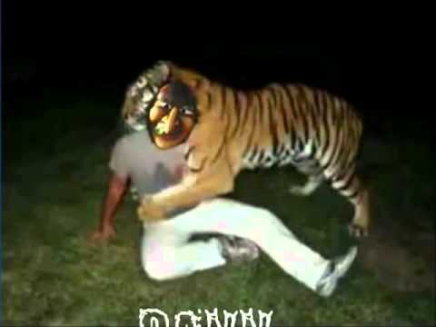 Summer Fasent night 2012