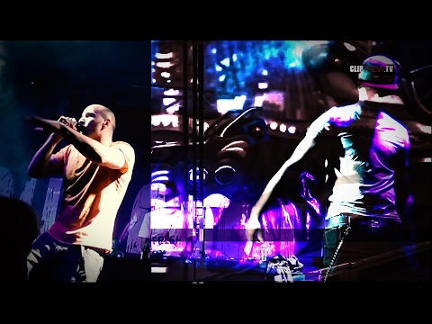 Franky Kubrick aka KARIBIK FRANK 🌴🌅 live @ SOHO OPEN AIR | Sindelfingen 2013