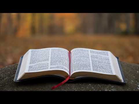 OFUTA NIONGO NA NGAI