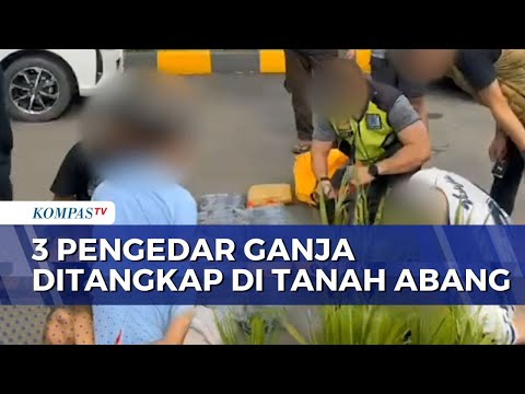 Polisi Tangkap 3 Pengedar Ganja di Parkiran Stasiun Tanah Abang, 15,5 Kg Barang Bukti Disita