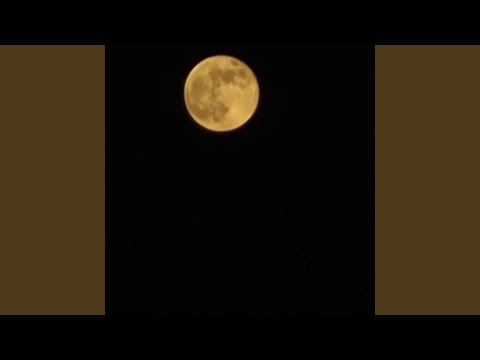 DRIFTER/D & G (feat. $T$ & JMC RO$E)