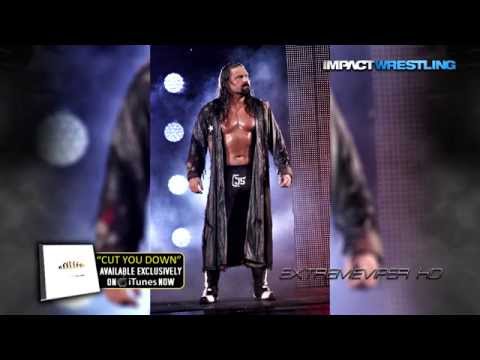 2015: James Storm 19th TNA Theme Song - "Cut You Down" (w/Whistle Intro) by Dale Oliver ᴴᴰ