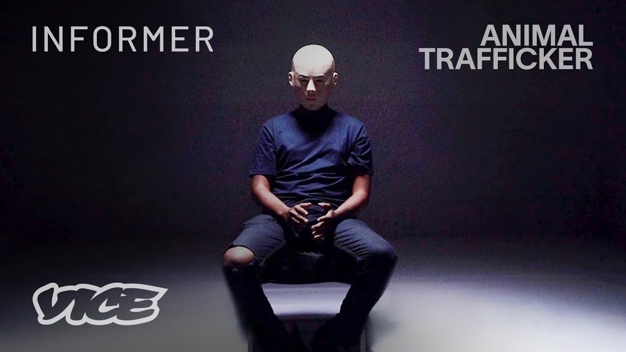 How I Trafficked Animals Illegally | Informer