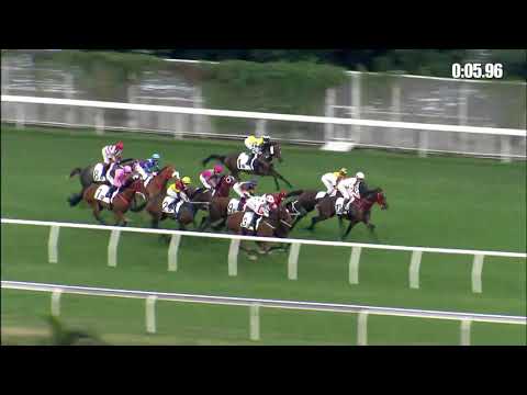 天   駟     21/11/21……(195)第九塲二班1800米