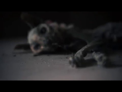 Mister Colfer / Fidèle au rap (Prod. La Replic)