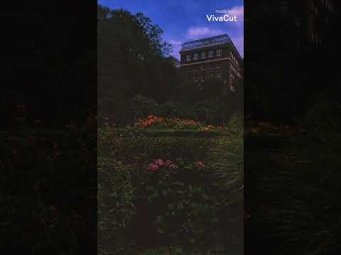 jamal x konai - mais uma dose (slowed + reverb)