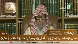 [4588] معنى قوله تعالى: ﴿فَمَنْ يُرِدِ اللَّهُ أَنْ يَهْدِيَهُ يَشْرَحْ صَدْرَهُ لِلْإِسْلَامِ..﴾ ال